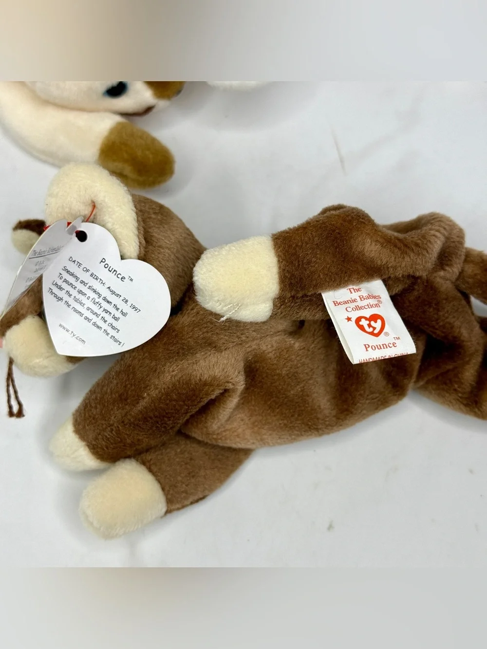 TY Beanie Babies Cat Plush Set